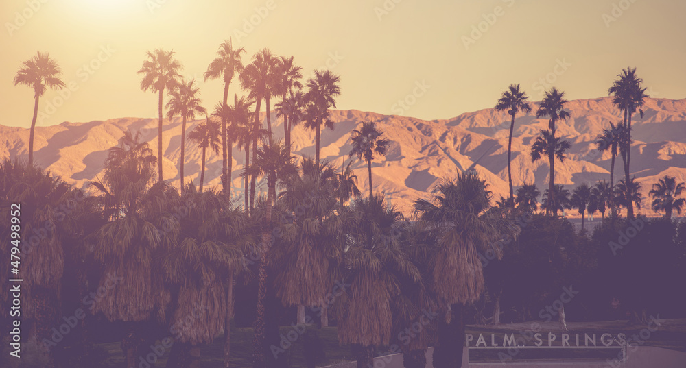 Wall mural palm springs california conceptual panorama