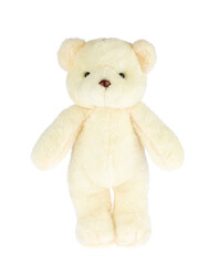 lovely teddy bear isolated on white background