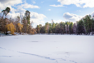 landscape with trees