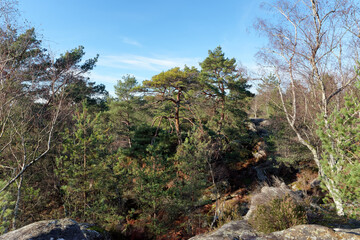 Franchard gorges in Fontainebleau forest