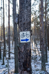 znak niebieskiej ścieżki rowerowej w zimowym lesie zbliżenie © Arkadiusz