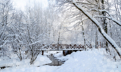 Bridge over the river in a snow-covered frosty forest. Forest landscape during the cold season. Blue snow falls on trees in the park. Frosty snowy beautiful winter
