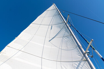 Grand voile d'un bateau en mer sous un ciel bleu