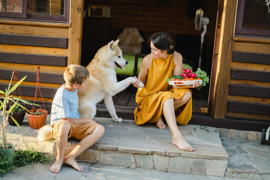 Woman holding vegetable tray shaking hand with dog sitting by son at doorway