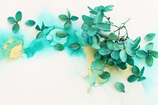 Creative image of emerald and green Hydrangea flowers on artistic ink background. Top view with copy space