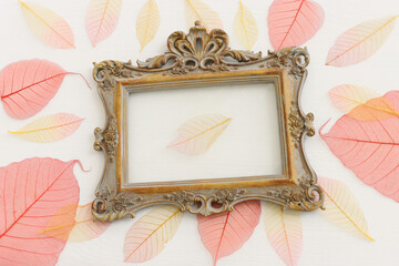 Colorful transparent and delicate skeleton leaves over pastel background