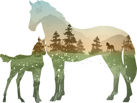 Silhouette of a horse with a foal. Inside is a mountain landscape with a flowering field and a running horse 