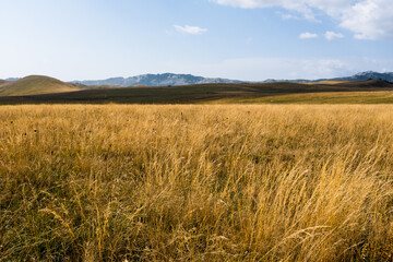 Curvy hills and Blue sky and. Beautiful plain. Montenegro
