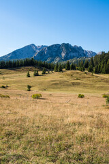 National park Durmitor Mountains in Montenegro.
