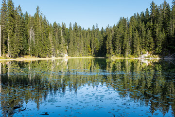 Forest Lake. National park Durmitor Mountains in Montenegro.
