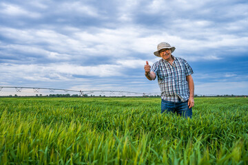 Naklejka na ściany i meble Proud senior farmer is standing in his barley field.