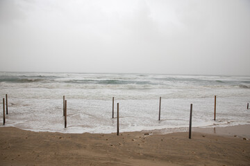 beach in winter storm - Powered by Adobe