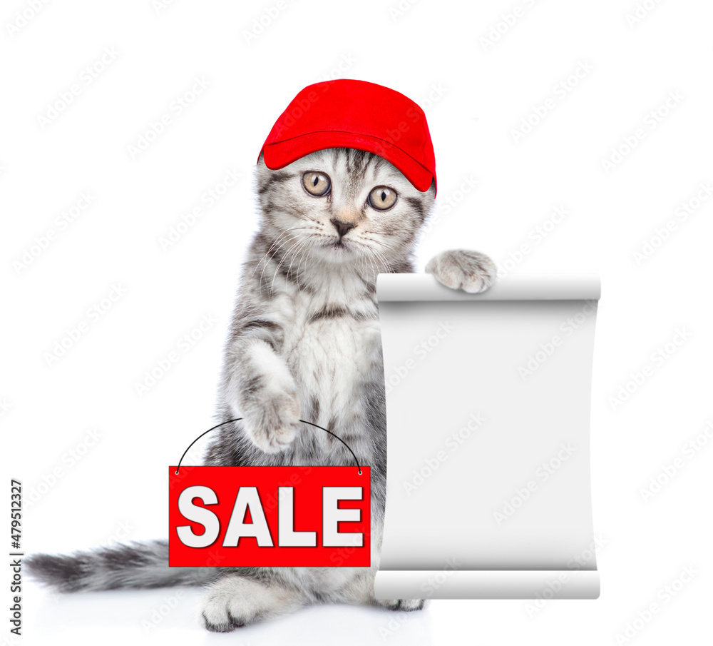 Poster cute kitten wearing red cap shows sales symbol and empty list. isolated on white background