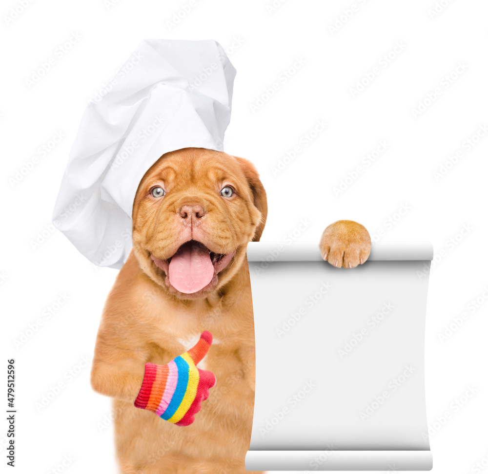 Poster funny mastiff puppy wearing chef's hat shows empty list and thumbs up gesture. isolated on white bac