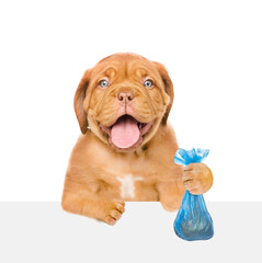Happy Mastiff puppy holds plastic bags with garbage above empty white banner. Eco concept. Isolated on white background