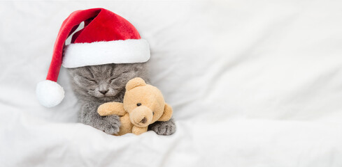 Cozy kitten wearing red santa hat sleeps under white blanket and hugs favorite toy bear. Empty space for text