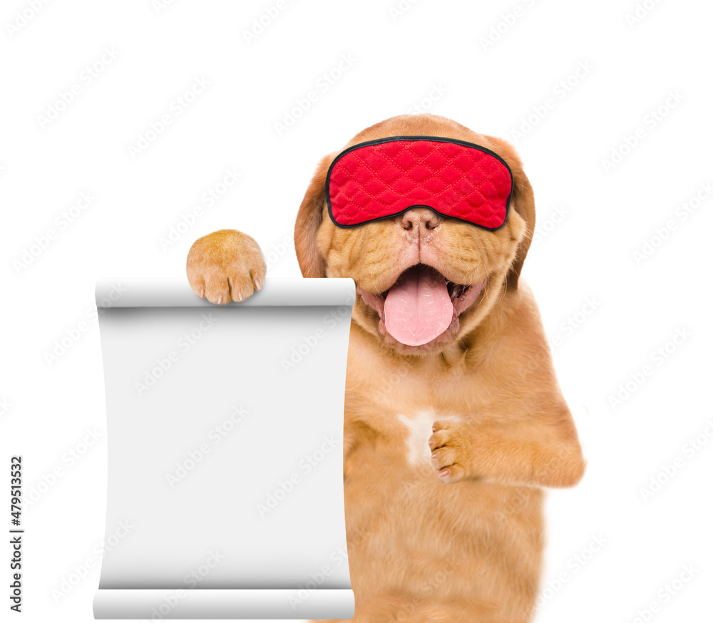 Poster yawning mastiff puppy wearing mask for sleep shows empty list. isolated on white background