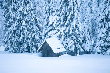 Kranjska Gora in Slovenia surroundings, winter landscape