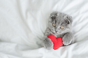 Playful kitten hugs red heart on a bed under warm white blanket. Valentines day concept. Top down...