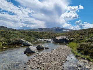 Kosciuszko national park in summer