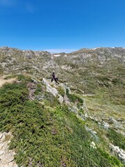 Obraz premium Kosciuszko national park mountains in summer 