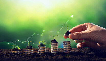 Seedling are growing with business arrow of growth. Concept of business growth,profit, development...