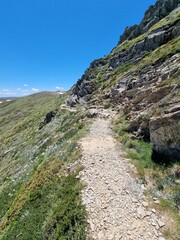 Obraz premium Kosciuszko national park mountains in summer 