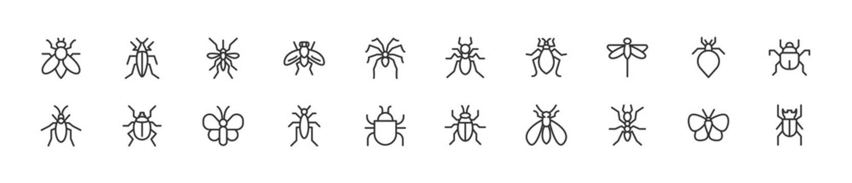 Set of simple insect line icons.