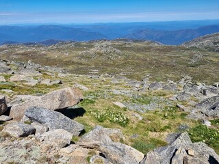 Kosciuszko national park mountains in summer 