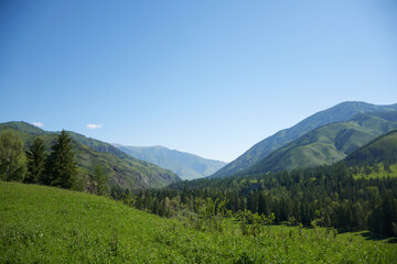 Fototapeta na wymiar Altai Mountains in Summer
