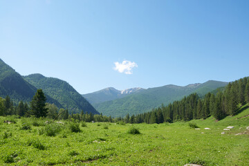 Fototapeta na wymiar Altai Mountains in summer