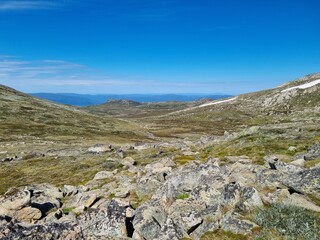 Kosciuszko national park in summer