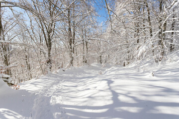 Mount Fumaiolo with snow in Italian appenines, Italy