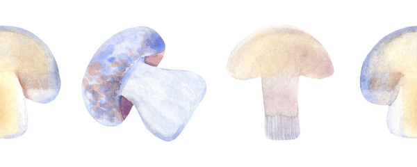 Watercolor linear pattern of mushroom mushrooms on a white background