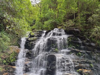Blue mountains, Wentworth Falls on the sunny day, Australia