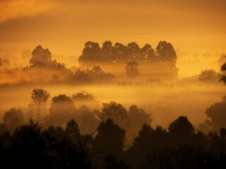 Amazing Sunrise Over Misty Landscape. Scenic View Of Foggy Morning Sky With Rising Sun Above Misty Forest