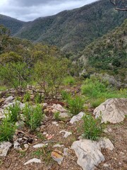 Blue Mountains national park in New South Wales in summer 2022