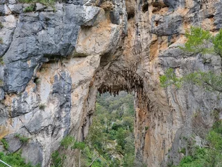 Photo sur Plexiglas Trois sœurs Blue Mountains national park in New South Wales in summer 2022