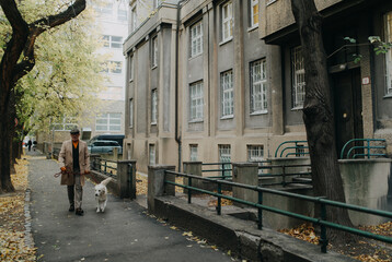 Distant view of elegant senior man walking his dog outdoors in city in winter.