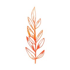 Macro young foliage twig isolated on white. Vector watercolor leaf branch floral plant. Sketch hand drawn design.	