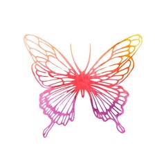 Beautiful color watercolor vector butterfly isolated on white background.