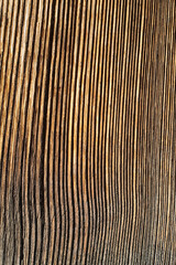 texture of wood with very marked veins. lines in the same direction. antique wooden plank. vintage background.