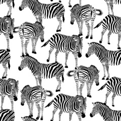 Fototapeta na wymiar Zebra seamless pattern. Wild animal texture. Striped black and white. design trendy fabric texture, vector illustration.