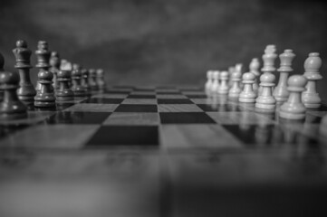chess pieces on the board