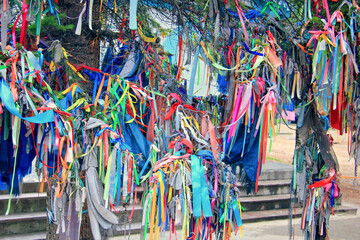 Colored ribbons tied to trees. Buddhism, Arshan, reserve in Buryatia