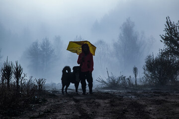 Girl with a dog walking in foggy weather in the forest - 479524940