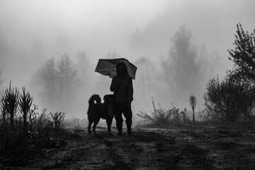 Girl with a dog walking in foggy weather in the forest - 479524942