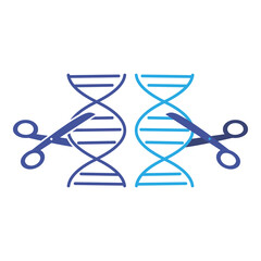 Schematic representation of DNA and genetic scissors. Scissors cutting the DNA strand. Flat vector illustration. 