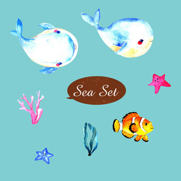 Set of watercolor sea animals. Suitable for decorating children's books and illustrations