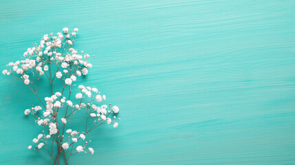 Few twigs  of Gypsophila flowers lay on  wooden table. Top view with copy space. Flat lay